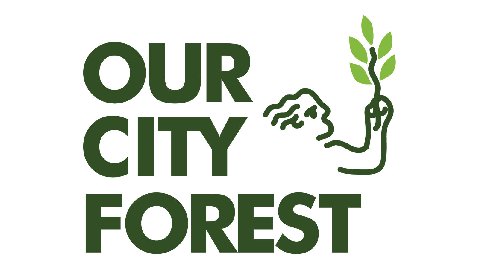 Our City Forest